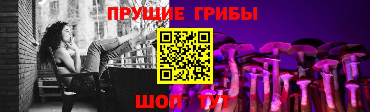 Псилоцибиновые грибы GOLDEN TEACHER Мыски